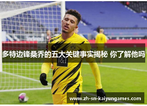 多特边锋桑乔的五大关键事实揭秘 你了解他吗