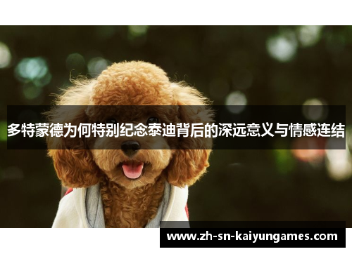 多特蒙德为何特别纪念泰迪背后的深远意义与情感连结