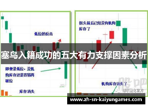 塞鸟入籍成功的五大有力支撑因素分析