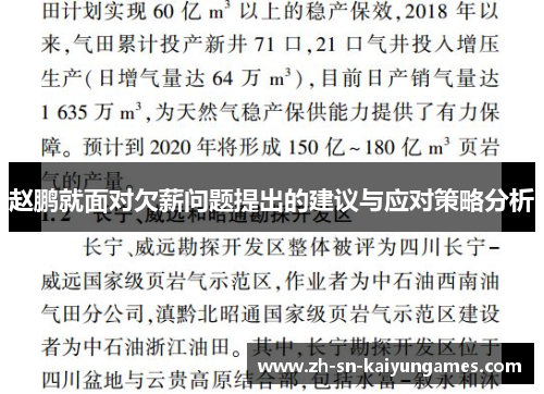 赵鹏就面对欠薪问题提出的建议与应对策略分析