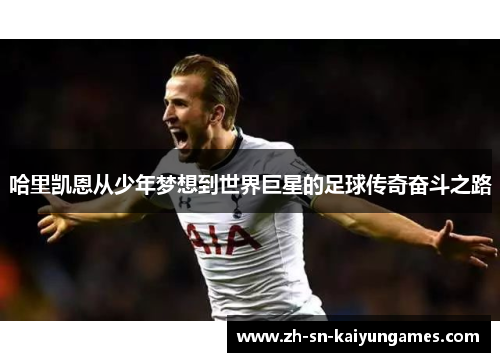 哈里凯恩从少年梦想到世界巨星的足球传奇奋斗之路 哈里凯恩从少年梦想到世界巨星的足球传奇奋斗之路