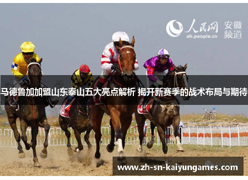 马德鲁加加盟山东泰山五大亮点解析 揭开新赛季的战术布局与期待 马德鲁加加盟山东泰山五大亮点解析 揭开新赛季的战术布局与期待