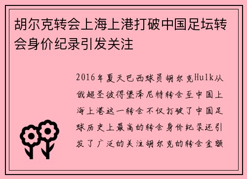 胡尔克转会上海上港打破中国足坛转会身价纪录引发关注